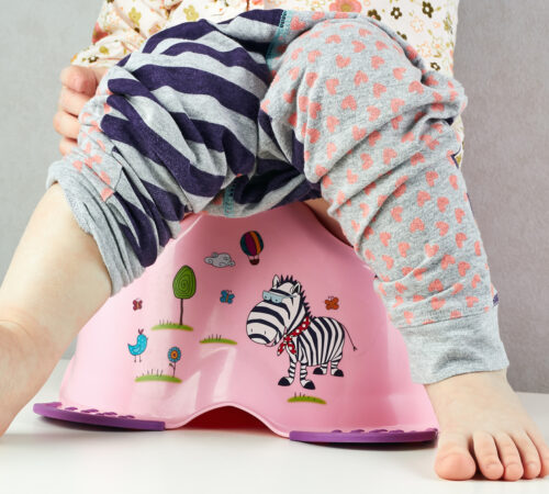 small   child sits on a potty