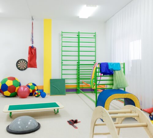 sensorics-sensory-class-sensory-integration-exe-2022-04-13-07-19-22-utc (1)